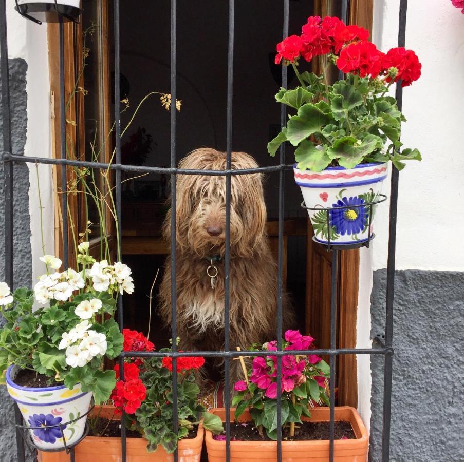 Bed and Breakfast Atelier 88 Alcalá la Real Zewnętrze zdjęcie